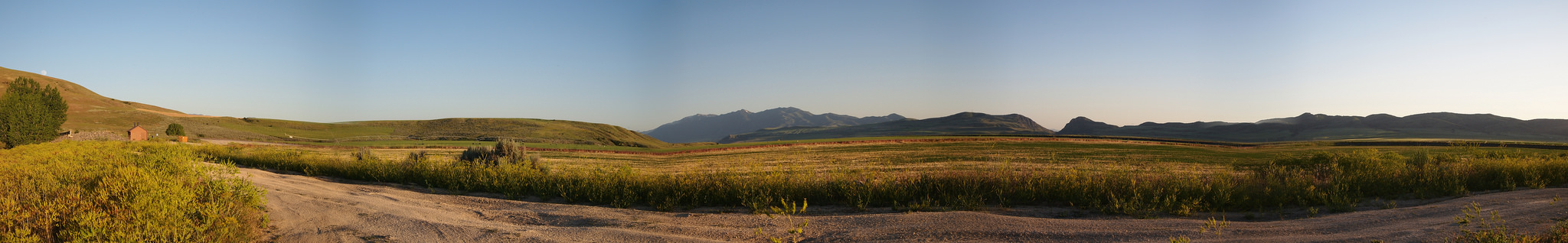 Idaho