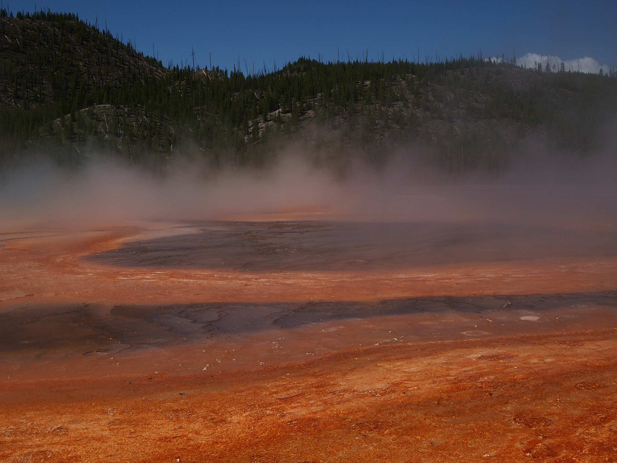 red geyser
