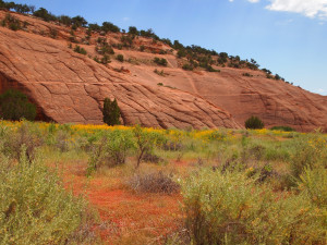 southwest parks