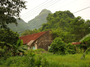 house
