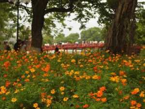 park