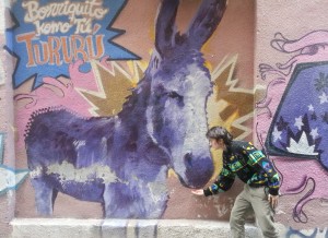 donkey