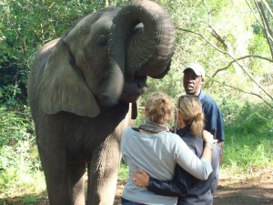 elephant sanctuary