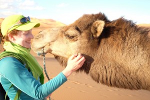 camel