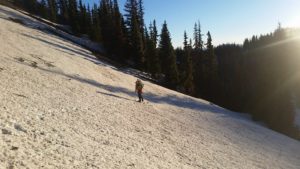 Up a hill
