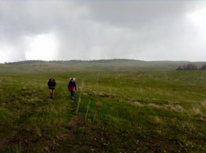 Walking thru green pastures